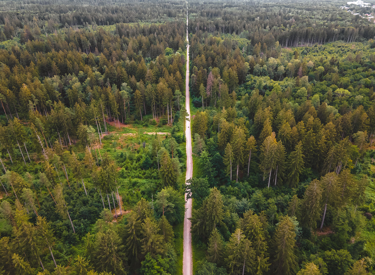 Liberty Specialty Vehicle